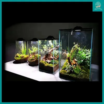 fish tank accessories singapore Aquarium Decorations Plants, 9pcs Green Fish Tank Decorations Plants and Cave Rock Decoration Decor Set, Aquarium Decor Plastic Plants Pet Supplies Aquarium Volcano Bubble Stone -